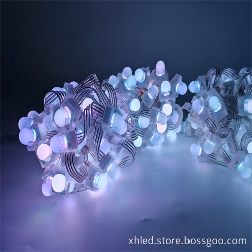 24V DC RGBW Pixel LED Point Light for Durable Outdoor Christmas Decoration
